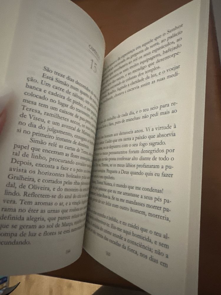 Amor de perdição