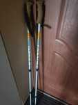 Kijki do nordic walking