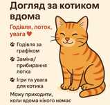 Догляд за котиком вдома. Годівля, лоток, увага. Котоняня