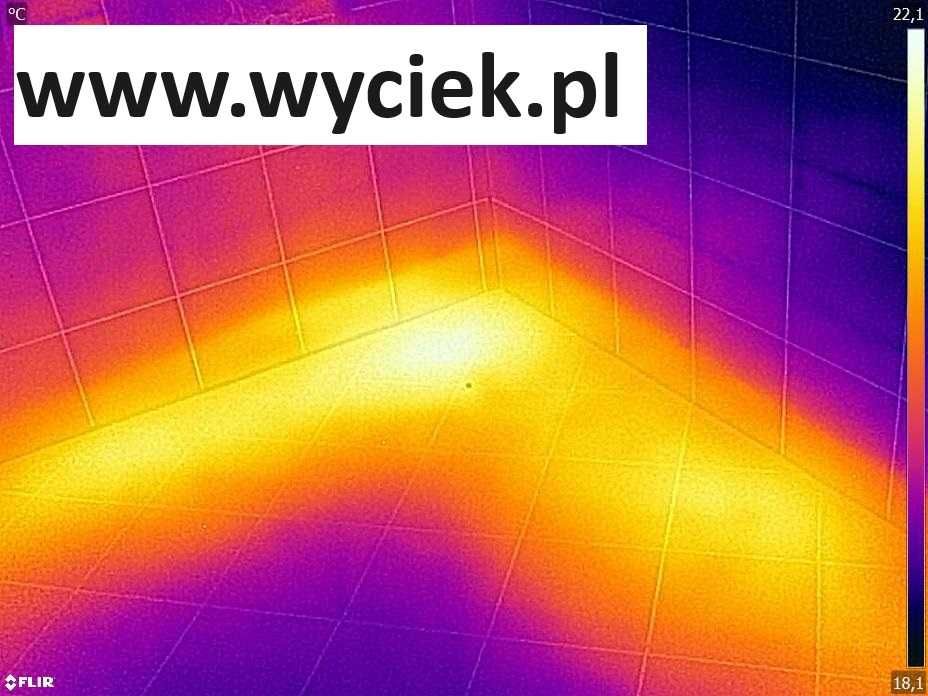 Katowice. Bezgotówkowo. Lokalizacja wycieku + naprawa + osuszanie