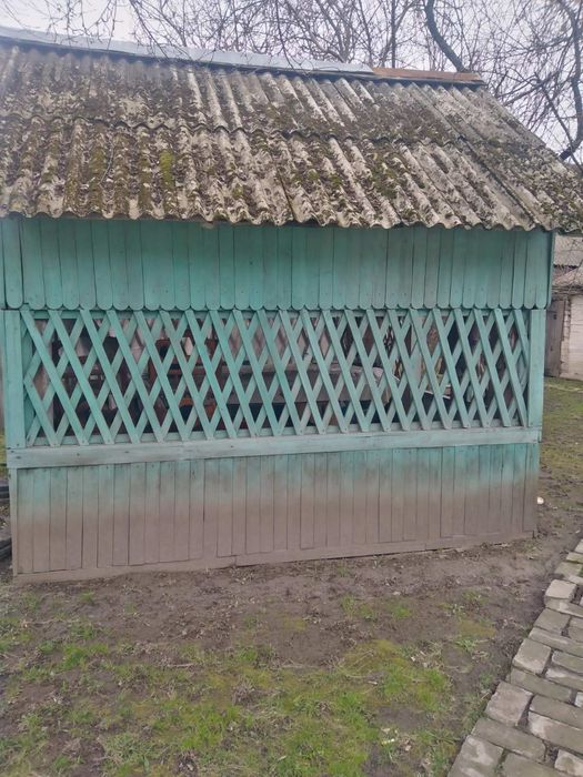 Будинок в с. Дібрівка  Шосткинського району