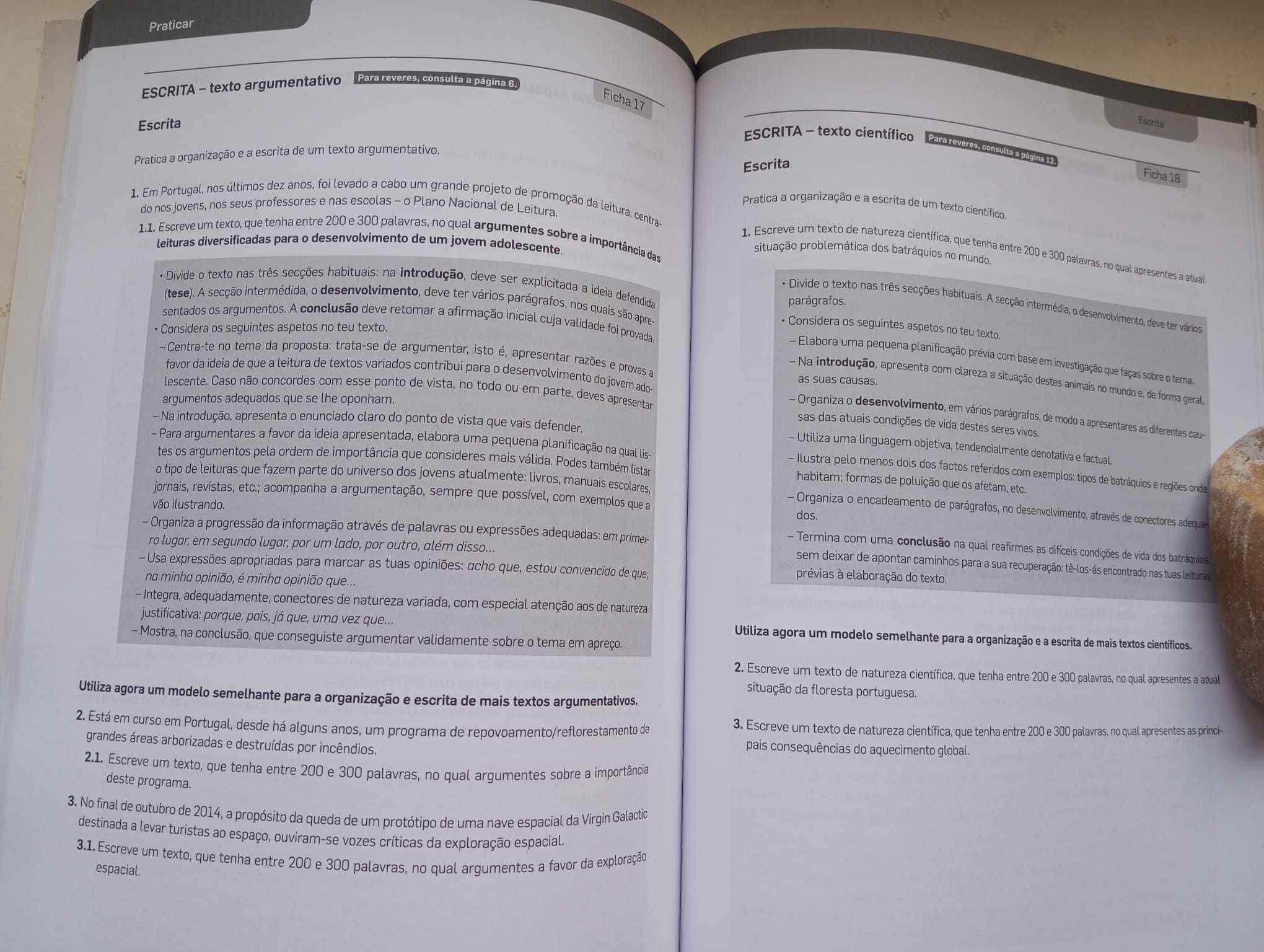O Essencial para a Prova Final de PT 9º ano