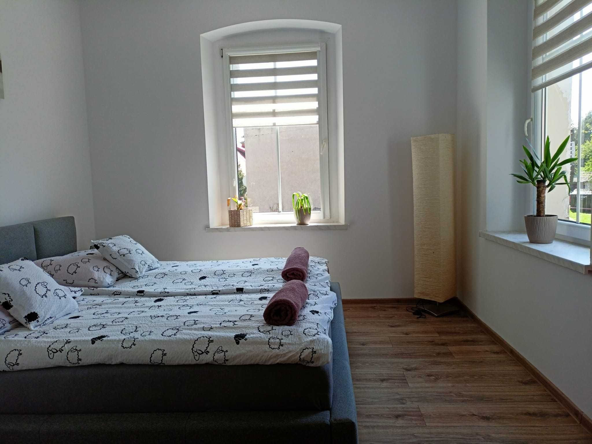 Apartament na wynajem