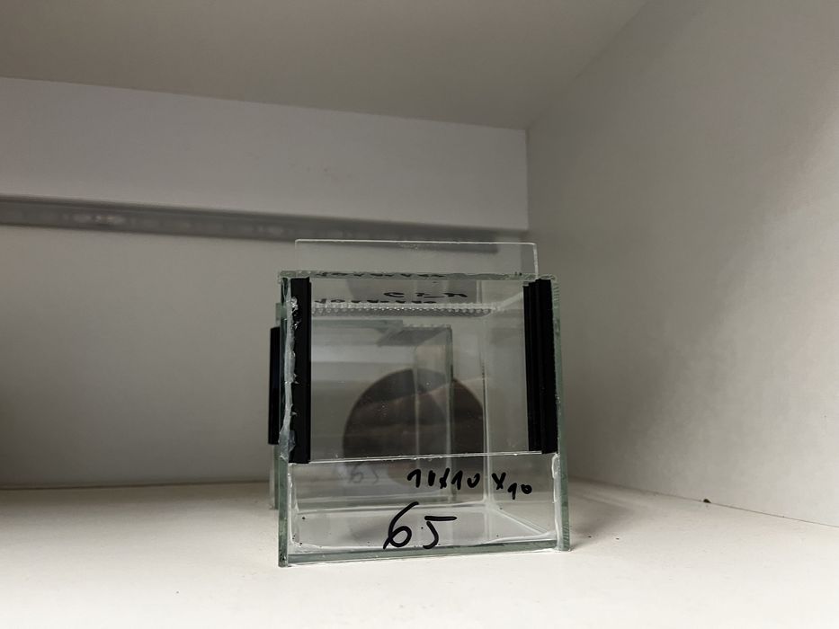 Terraria szklane duzy wybor - nowe i używane