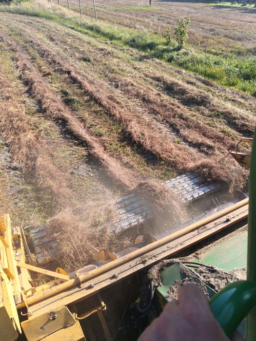 Podbieracz pokosu pkachtowy