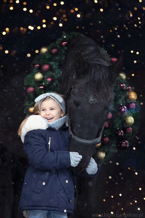 Sesja zdjęciowa z koniem. Koń do zdjęć, wynajem. Fotografia koni