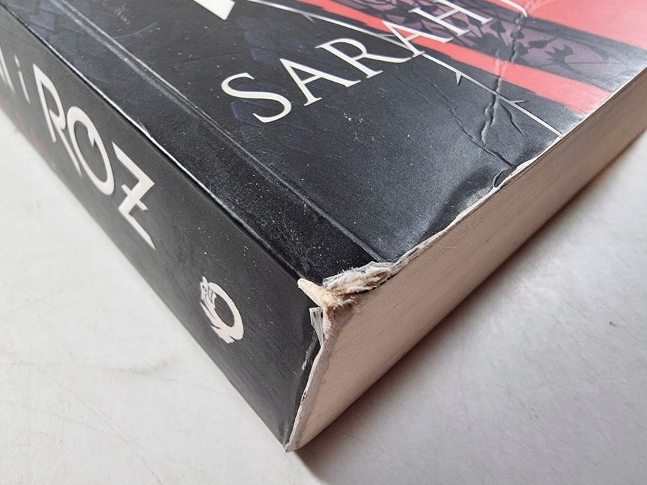 Dwór Cierni i Róż 1-3 / Skrzydeł i Zguby / Mgieł i Furii / Maas