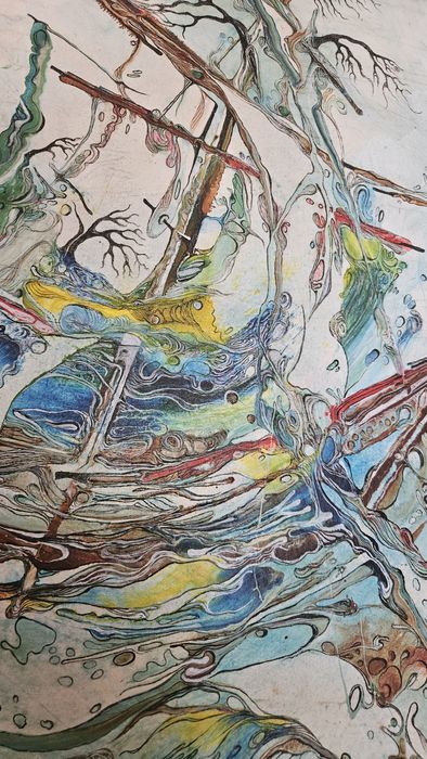 Tela dos artistas portugueses Alua Pólen -