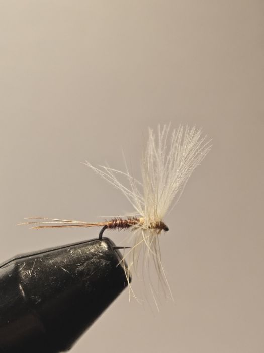 Muchy wędkarskie (muchy suche ,mokre i nimfy)