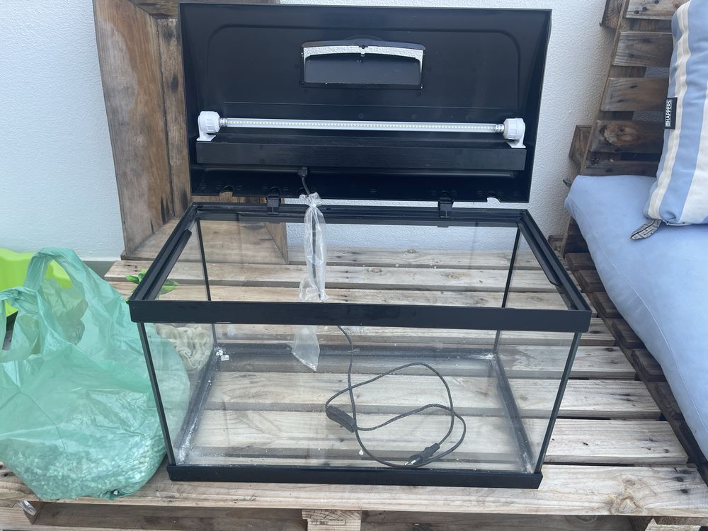 Aquario para peixes com luz led