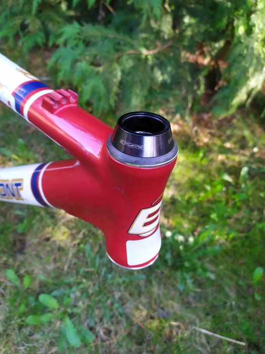 BERGAMONT PLATOON TEAM rama Alu Roz.19  Elite Custom Alloy FSA Polecam