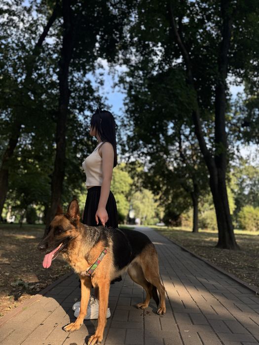 Послуги Кінолога