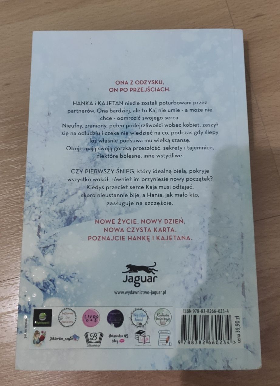 Kiedy sadnie pierwszy śnieg Beata Majewska
