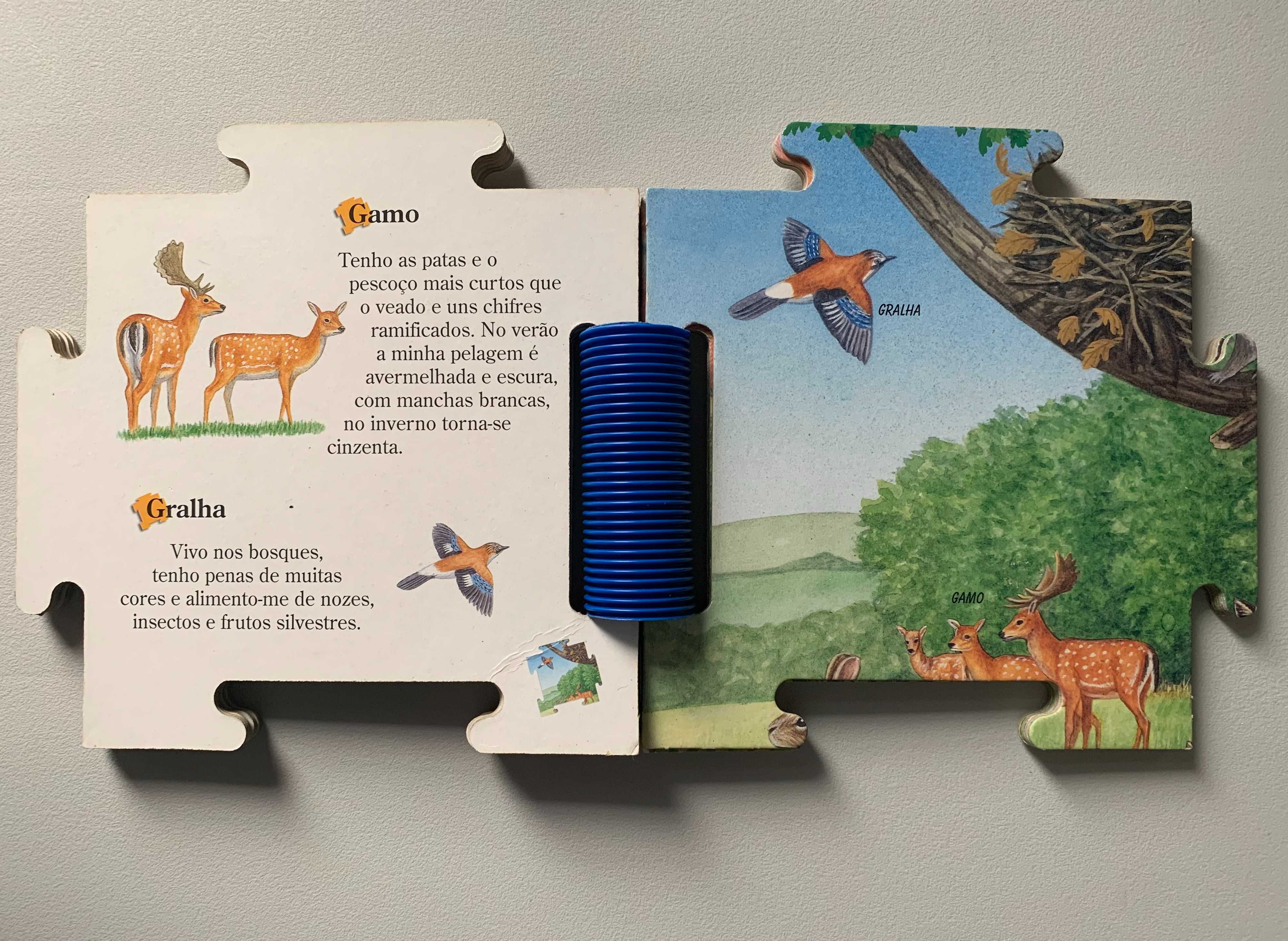 O Puzzle da Natureza: O Campo