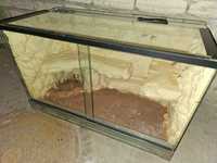 Terrarium - Agama, Gekon 80x40x50 cm