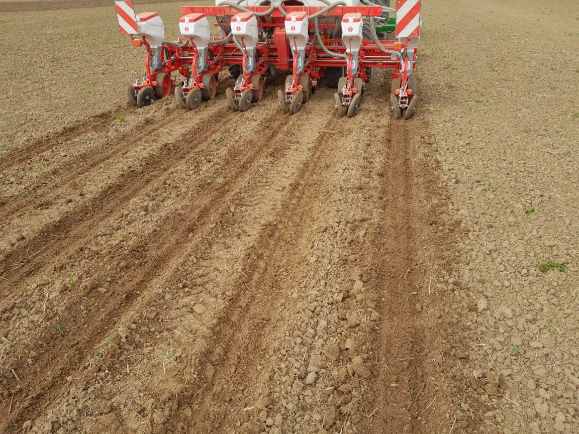 Siew jednoprzejazdowy Tygrys. Strip Till  Zboża, Strączkowe, Kukurydza