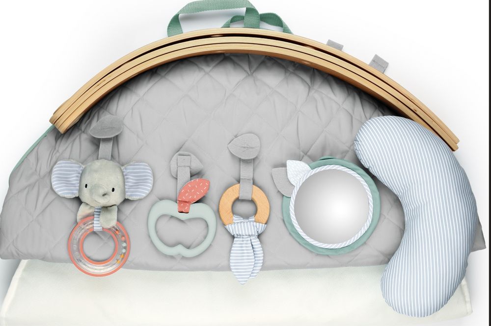 Розвиваючий килимок Ingenuity Cozy Spot