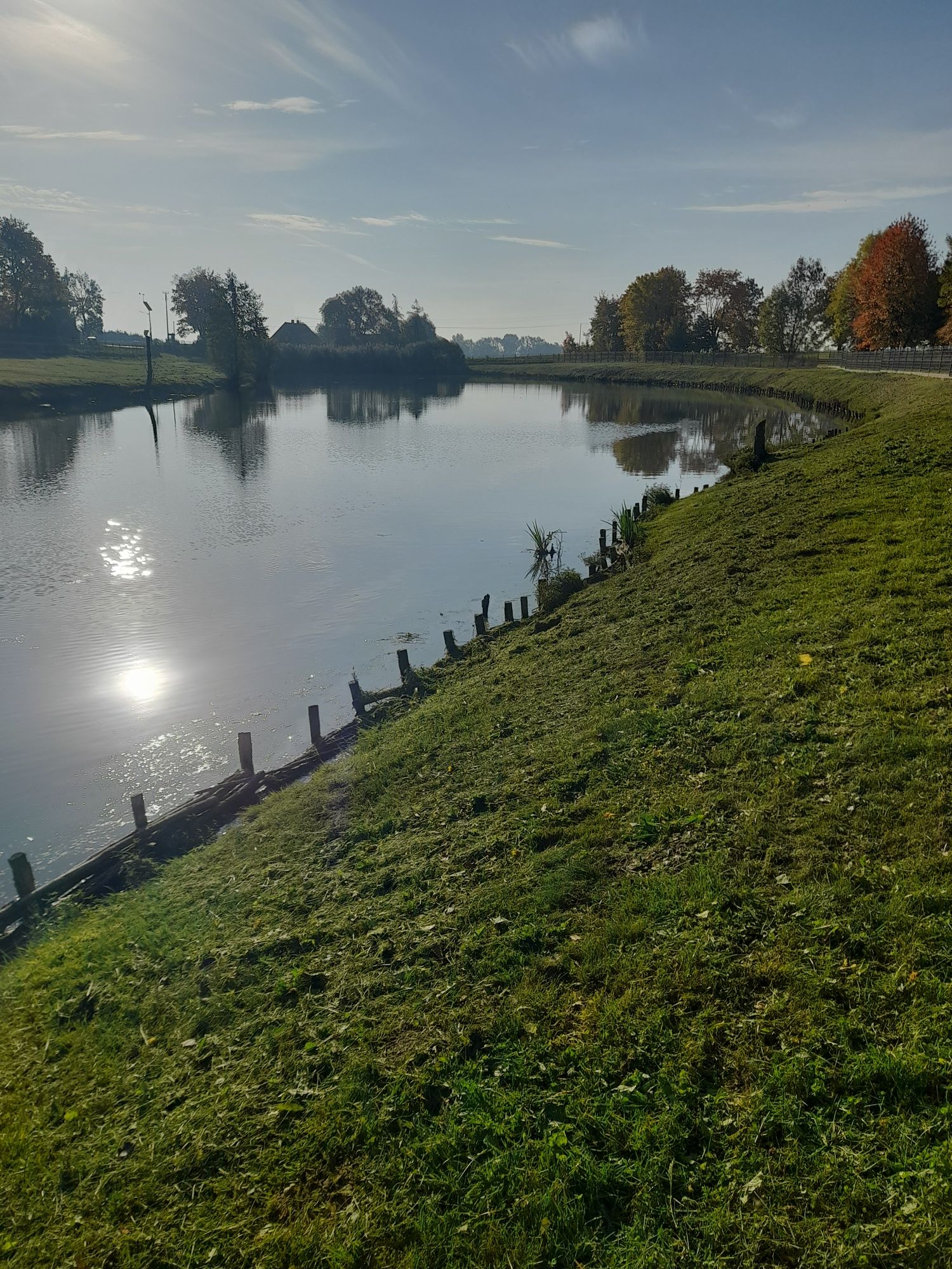 Usługowe koszenie trawy