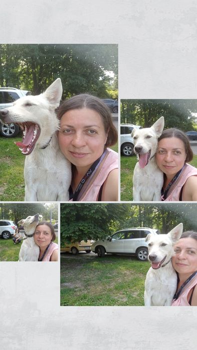 Чарівна дівчинка-собачка шукає дім