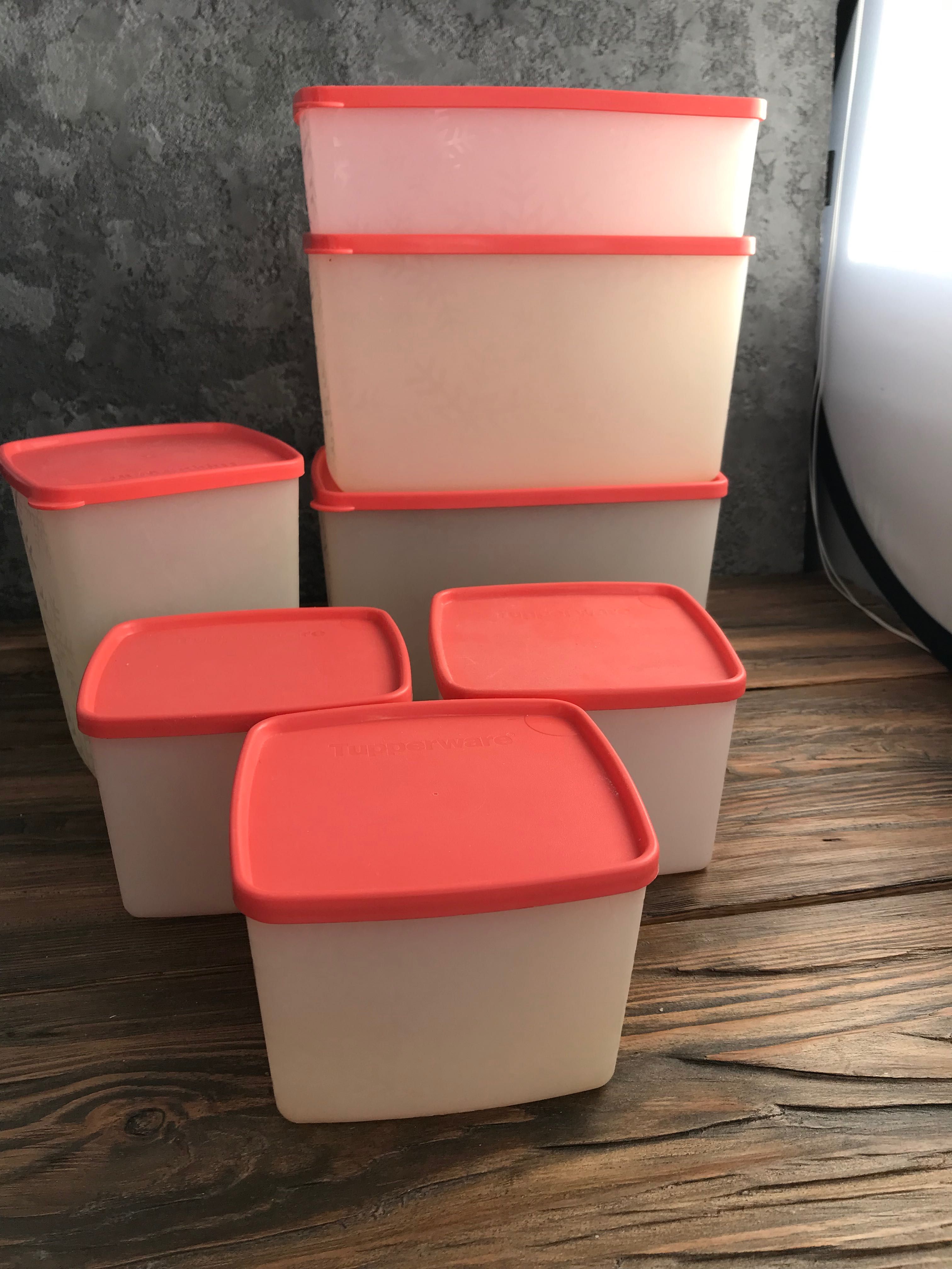 Посуд сирниця форма для пельменів скалка tupperware ємності заморозки