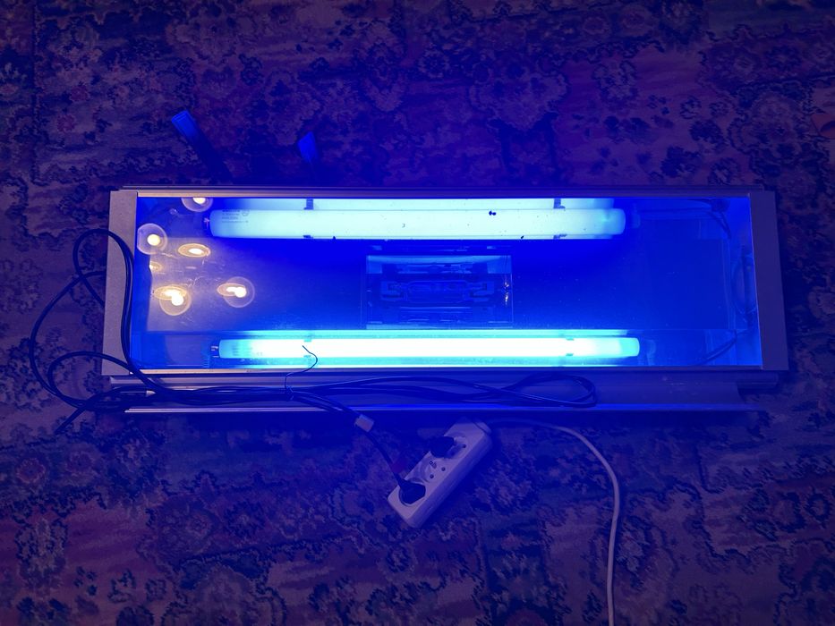 Lampa HQI do akwarium