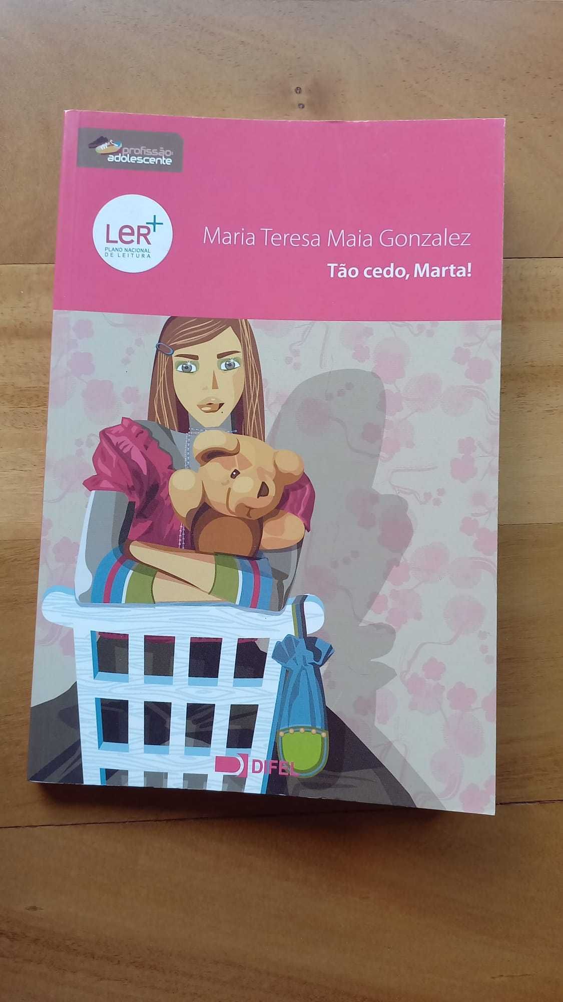 Livros Maria Teresa Maia Gonzalez - Profissão Adolescente