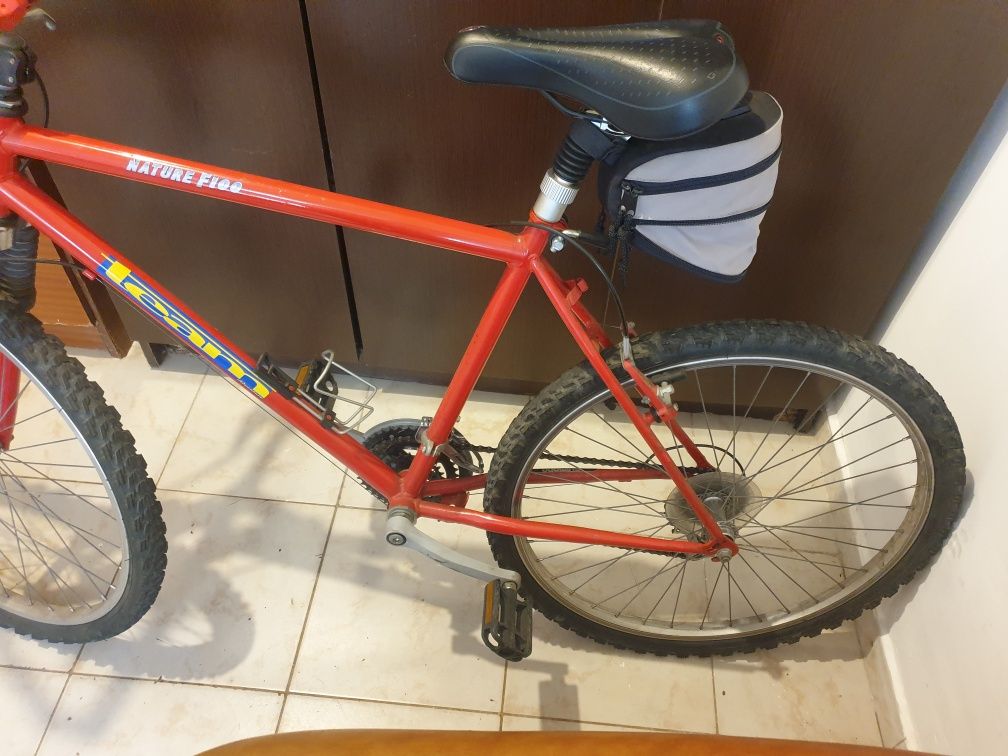 Bicicleta BTT Team Nature F100