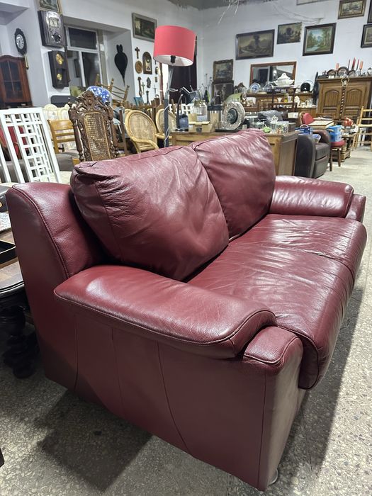 Дивани шкіряні.