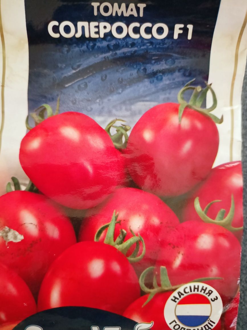 Розсада томат перець