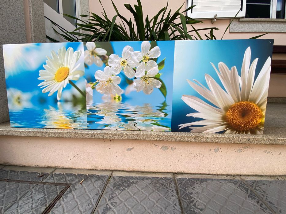 Tela decorativa como nova