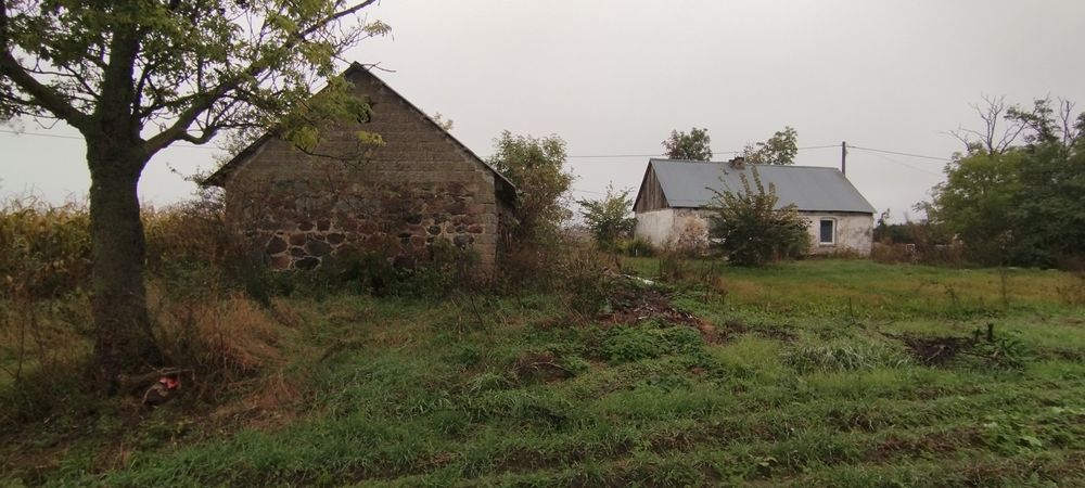 Sprzedam siedlisko działkę