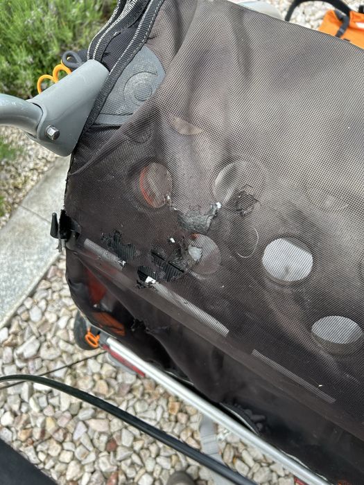 Przyczepka rowerowa Weber Ritschie 2