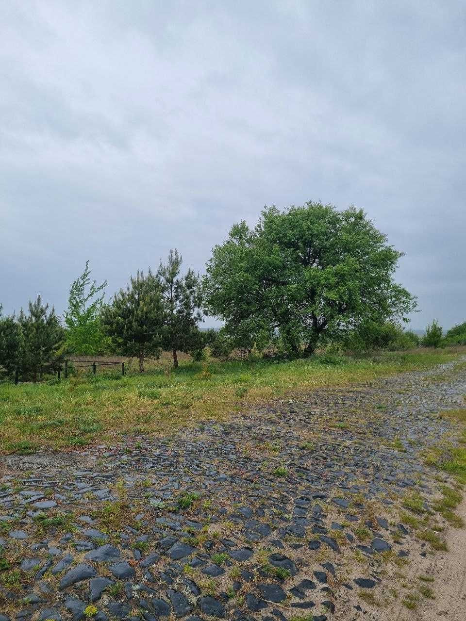 Ділянка Козлин 21 сотка під житлову забудову