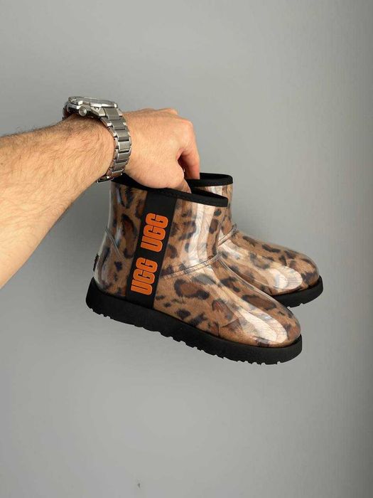 Женские сапоги UGG Classic Clear Mini Boot Leopard 36-41 Натур Овчина!