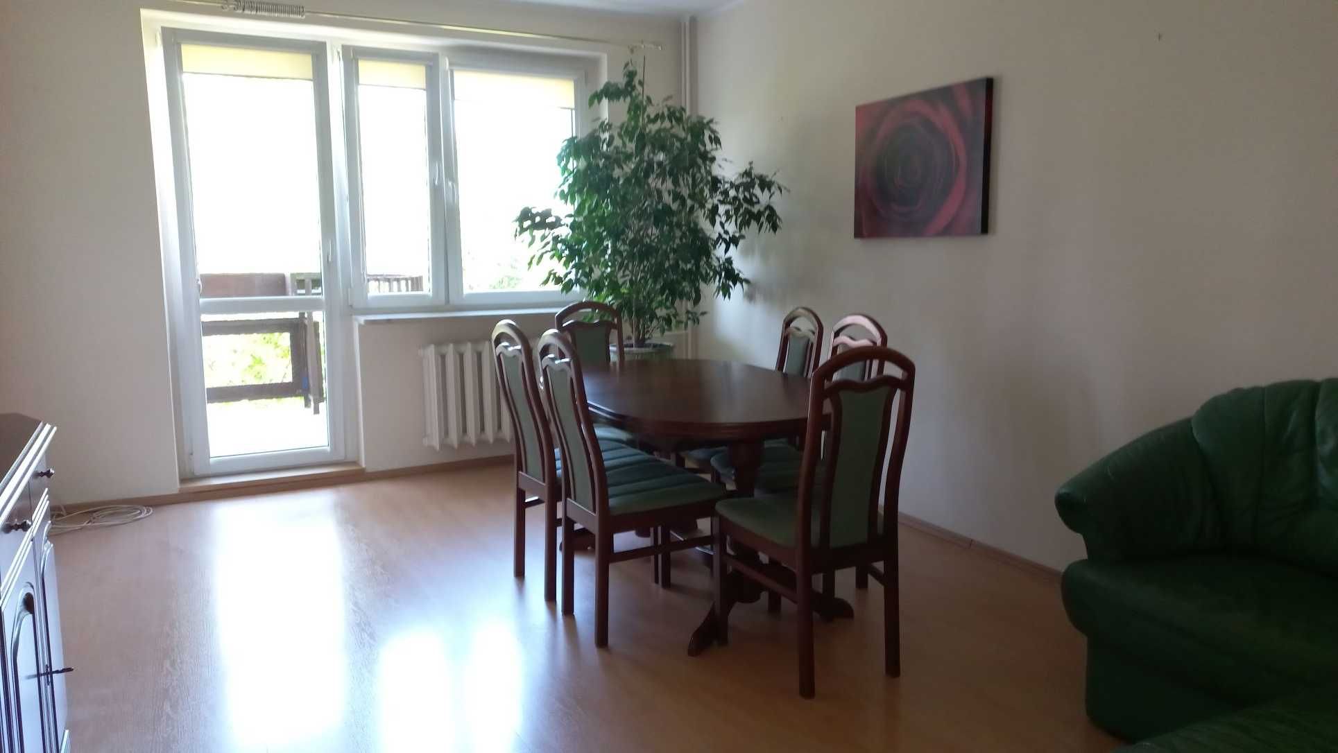 Wynajmę mieszkanie 53 m2 Rataje ul. Lwa w Poznaniu  blisko Malta