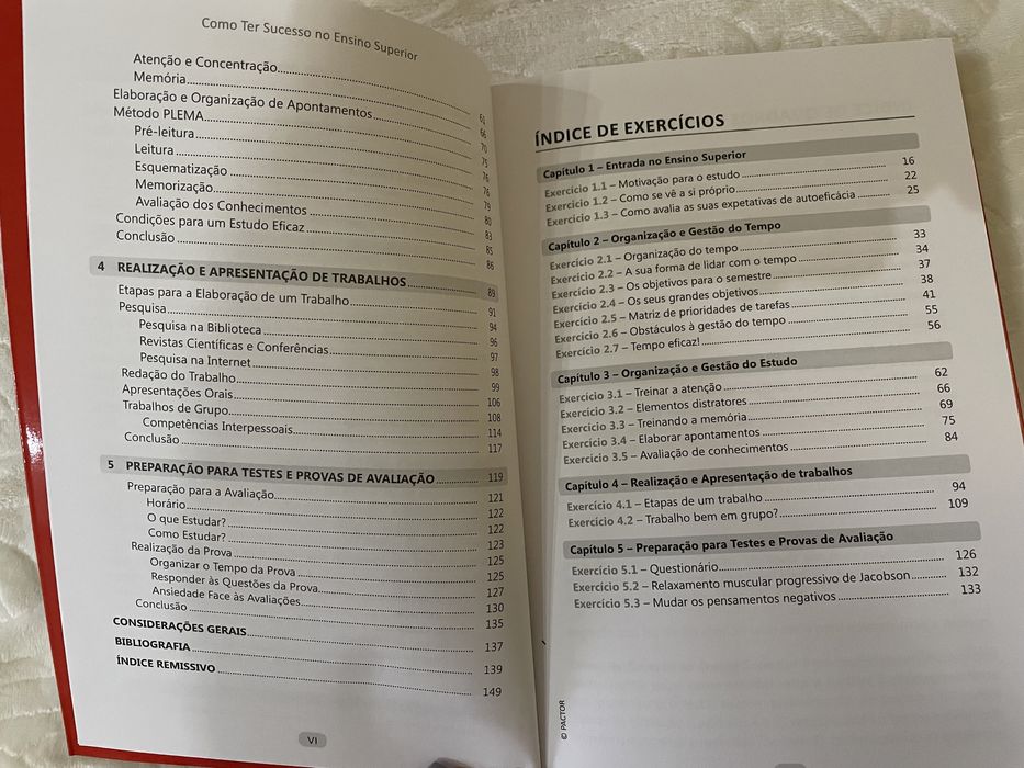 Como Ter Sucesso no Ensino Superior