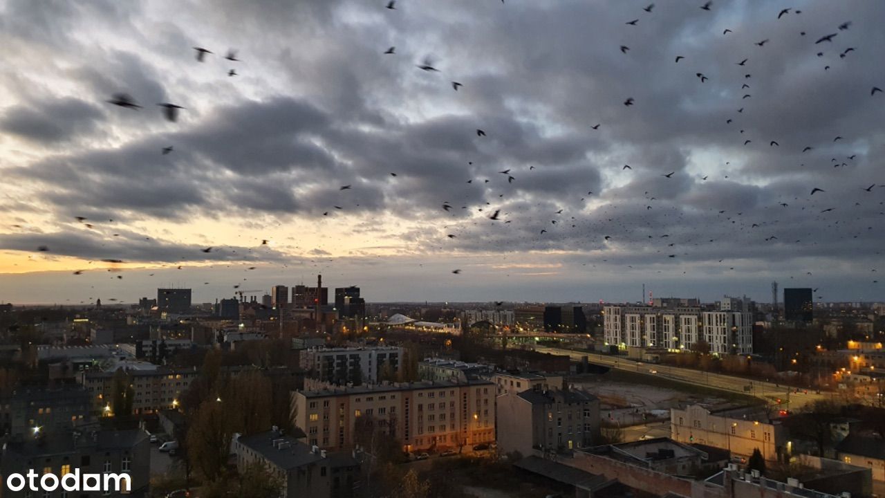 2-pokojowe mieszkanie w centrum Łodzi