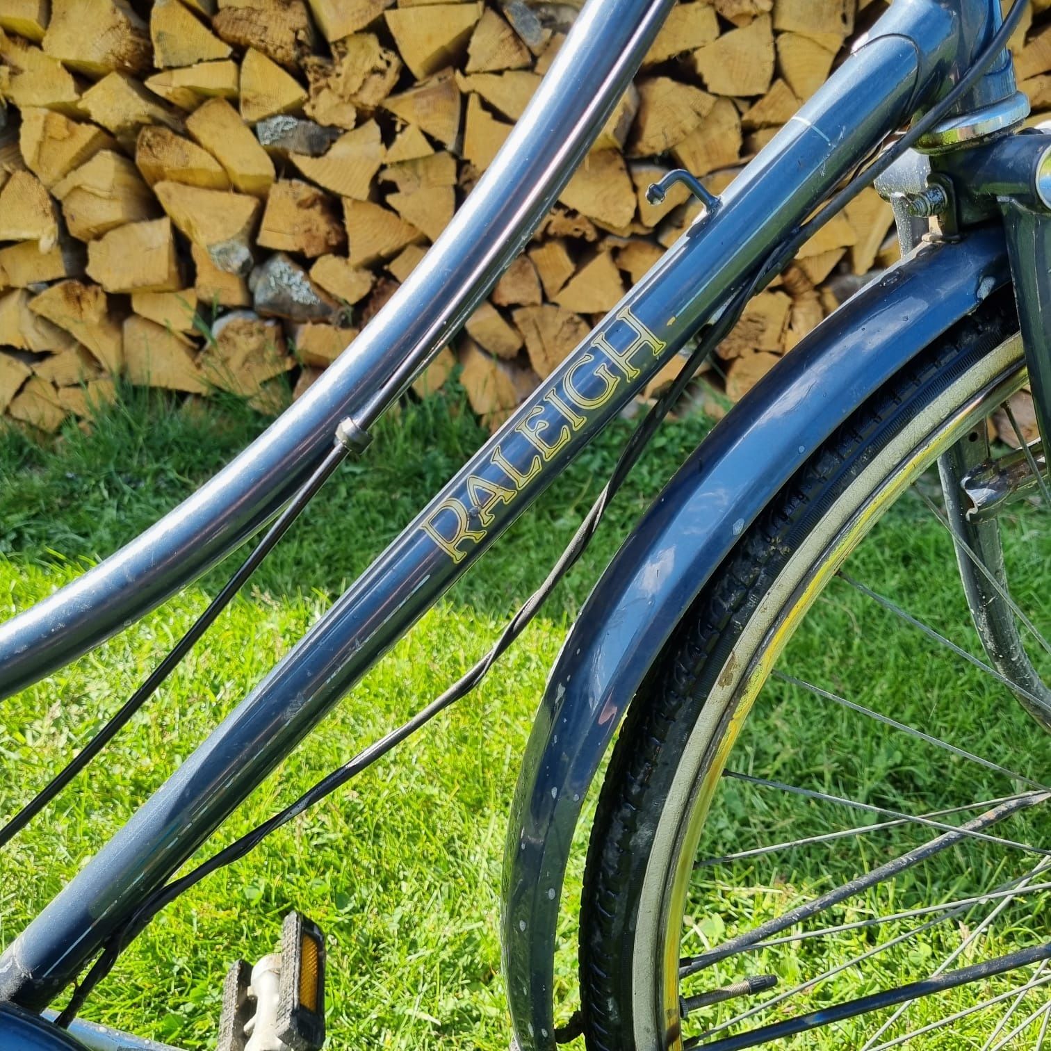 Rower Raleigh damka