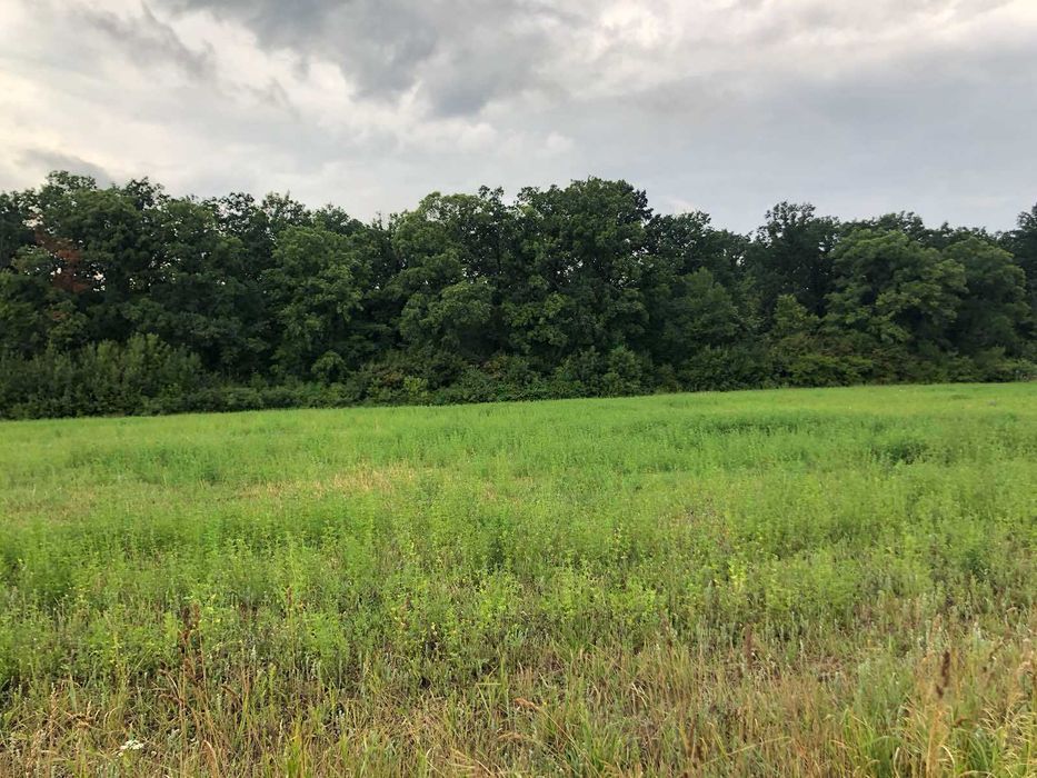 Продам земельну ділянку під житлову забудову с.Сосонка 6828