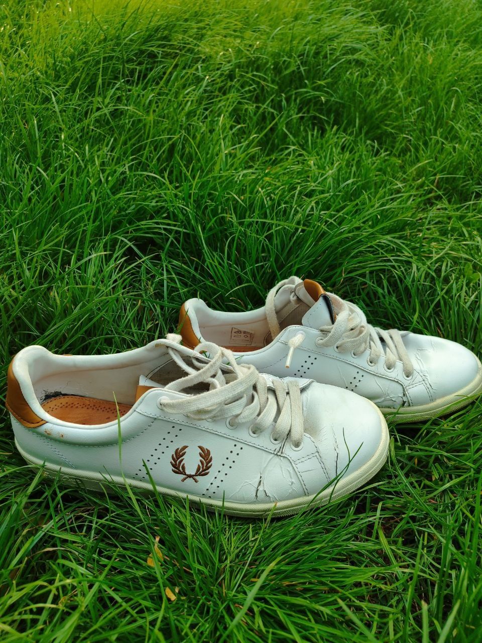 Кросовки Fred Perry