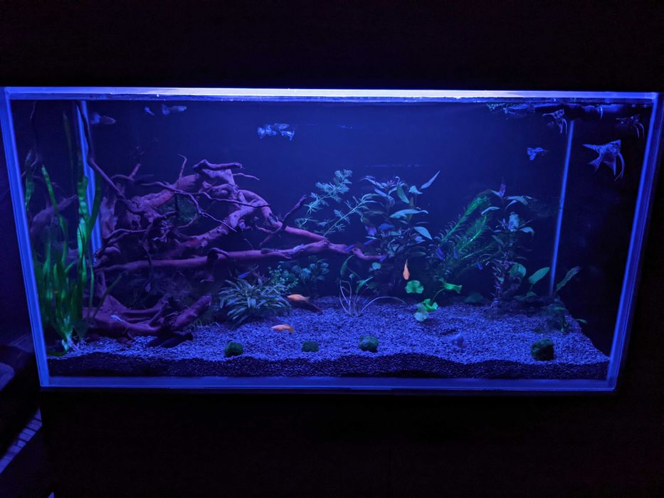 akwarium morskie/słodkowodne full optiwhite