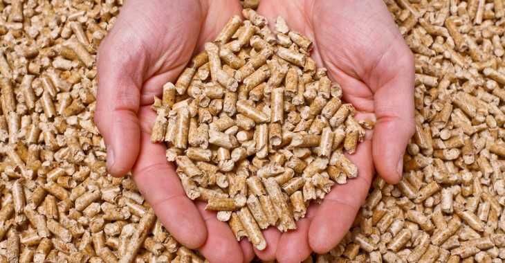 Pellet Olimp Koszalin Karlino Bobolice Sławno Sianów Mielno Łazy