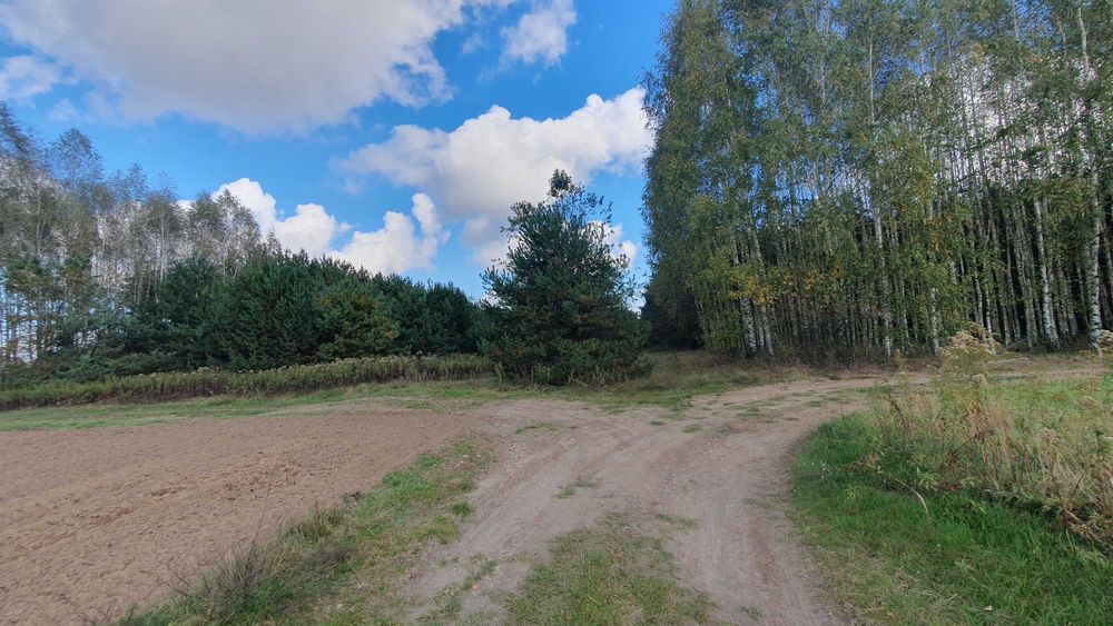 Piękna Działka rekreacyjna Kuryłówka 20 Ar NR 1040/1