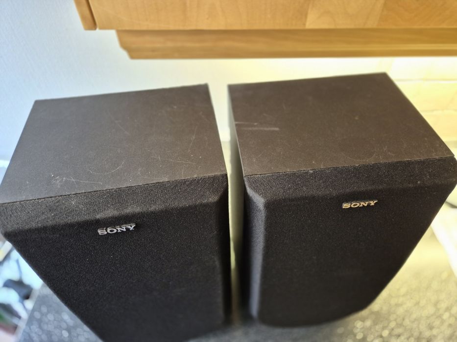 Kolumny Sony ss a 300