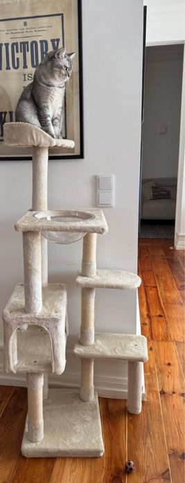 Playground para gatos