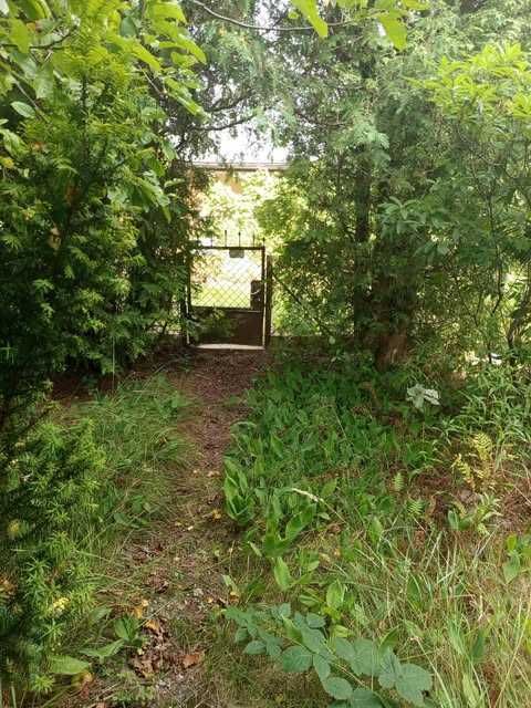 Sprzedam działkę ROD Kawęczyn Warszawa