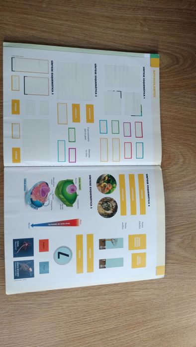 Caderno de atividades- Ciências naturais- 5° ano