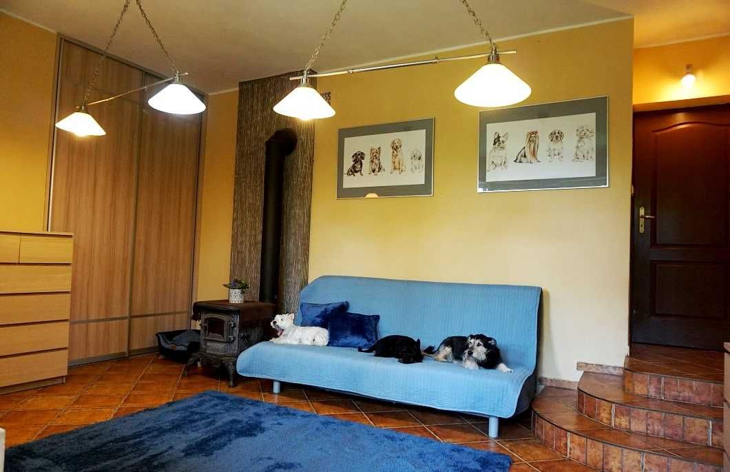 KOŁTUNEK - hotel dla MAŁYCH psów