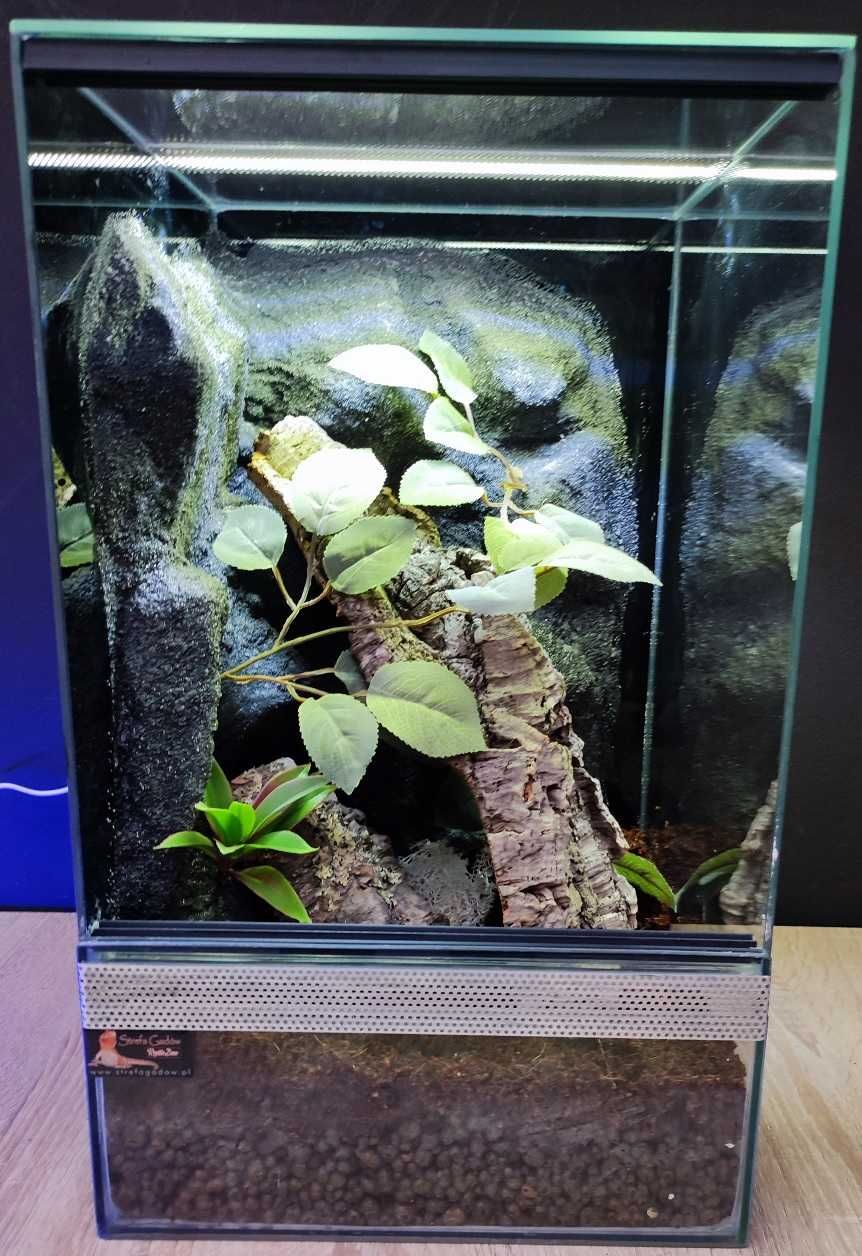 Terrarium szklane nr40 30/30/50 dla gekona orzęsionego, żab DOSTĘPNE