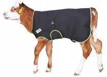 Derka dla cielaka Premium, czarna, Kerbl 70 cm, lub 80 cm